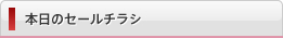 本日のセールチラシ