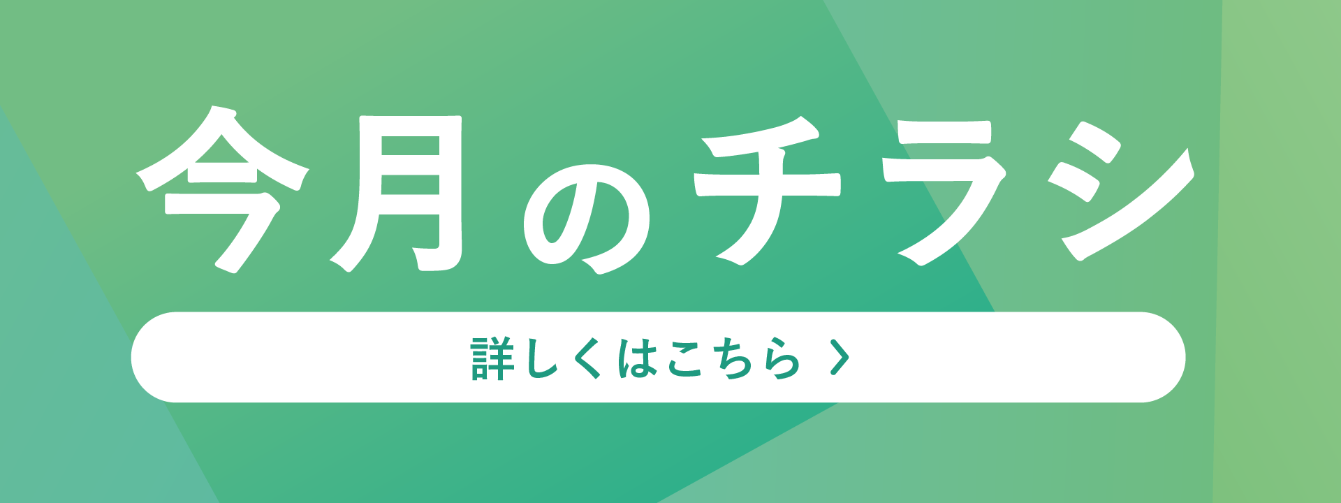 今月のチラシ