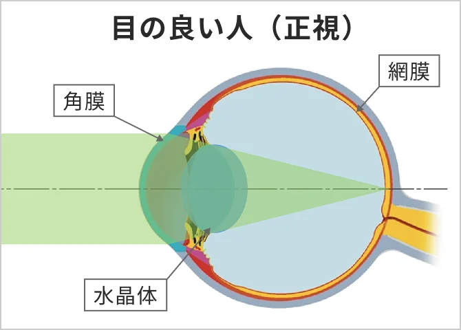 目の良い人(正視)