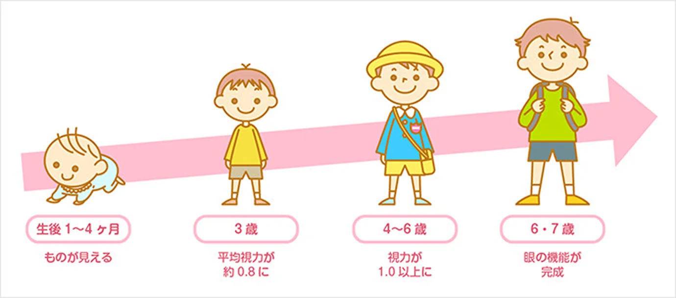 6・7歳までに見る力を育てよう