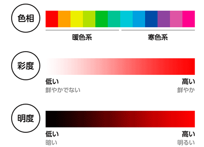 どうして瞳で色が分かるのか