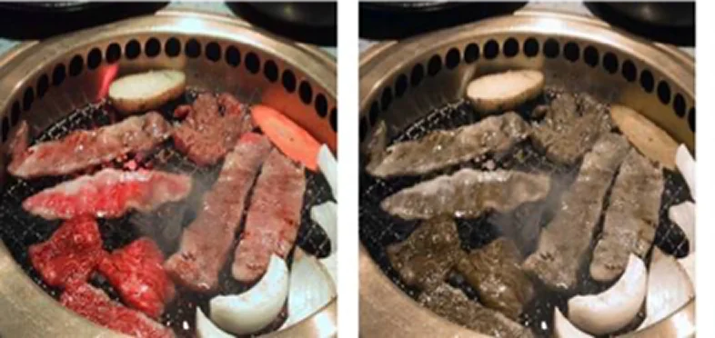 色覚補助レンズによる違い1