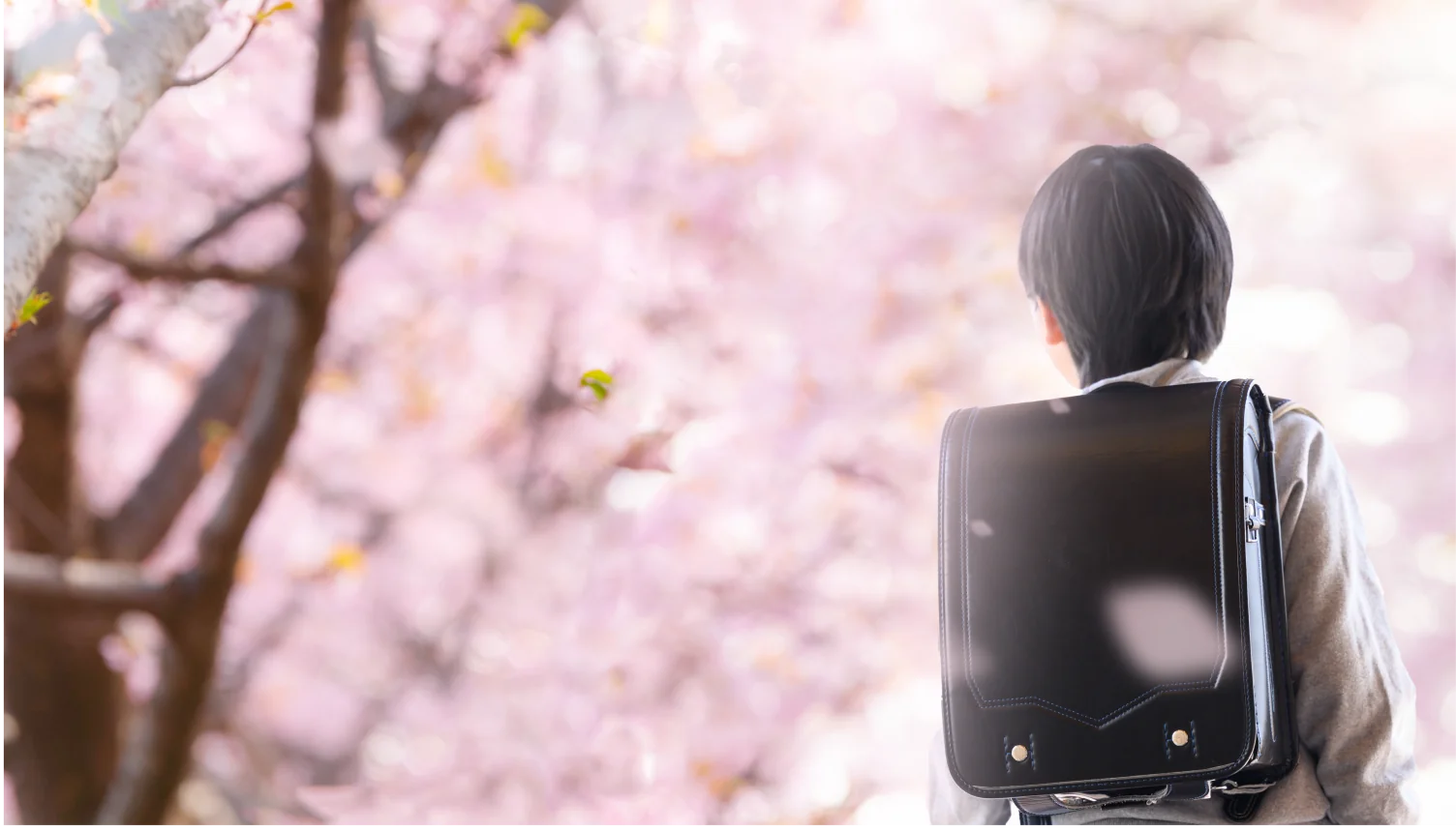 桜の下でランドセルを背負った子ども