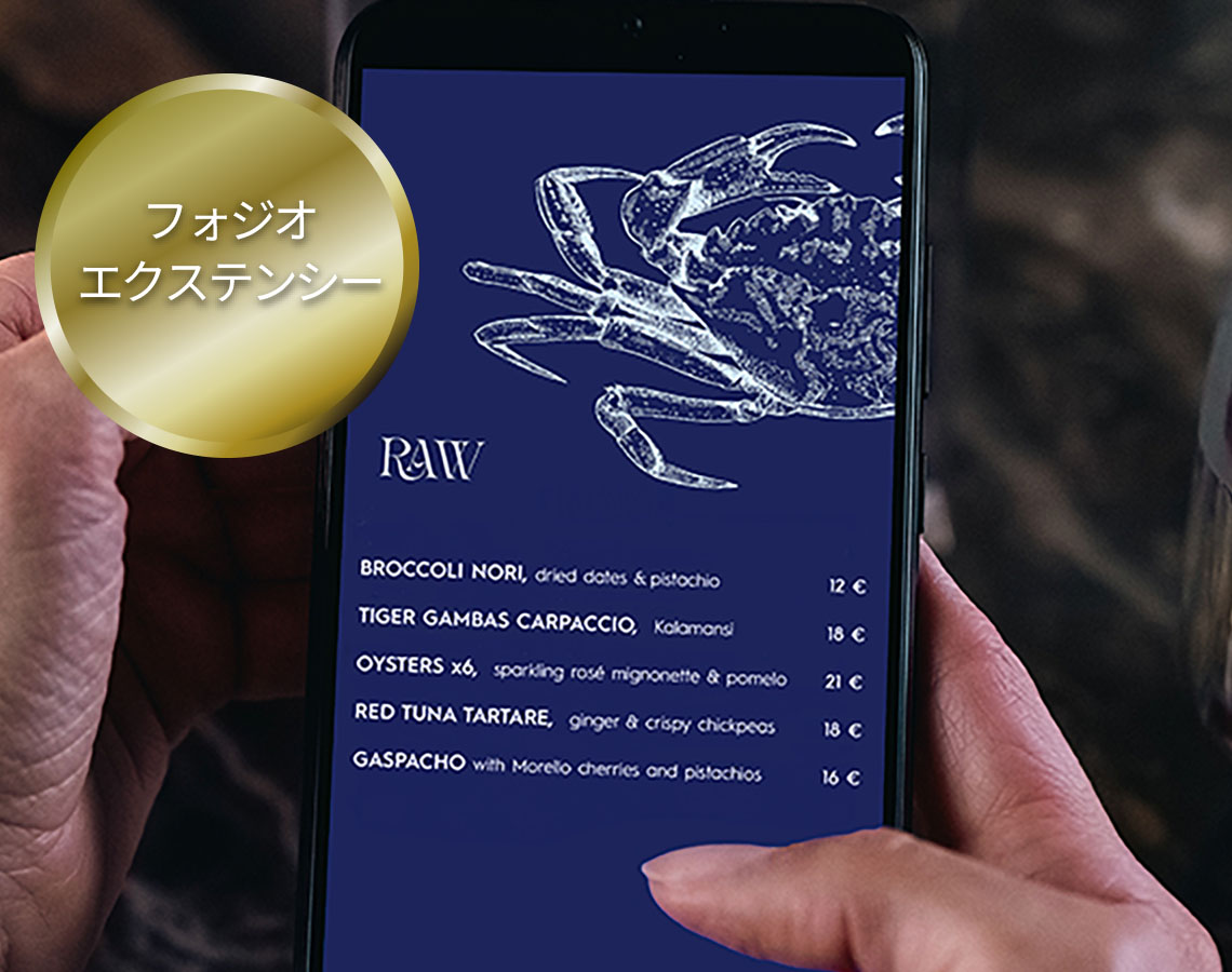 フィジオ エクステンシーでスマートフォンのメニューを見たときの見え方