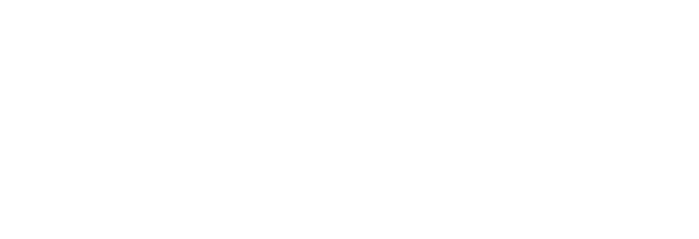 バリラックス フィジオエクステンシー