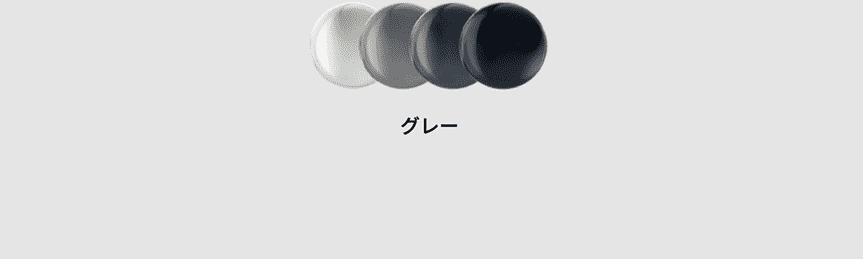 ポラライズドのカラー:グレー