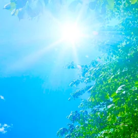 紫外線から目を守りたい