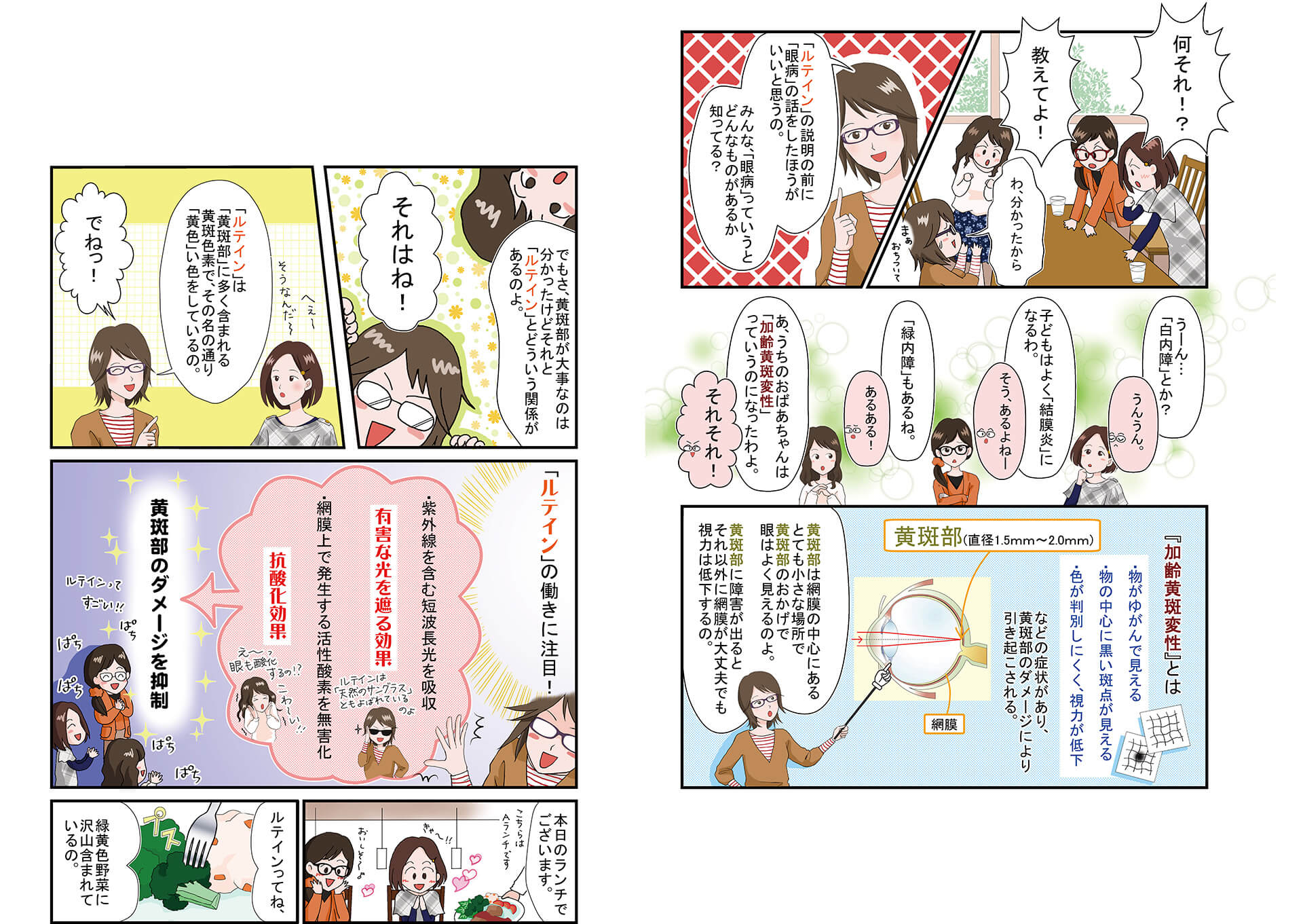 マンガ（2）目の病気の話から、黄斑部と加齢黄斑変性、ルテインの働きを説明する場面