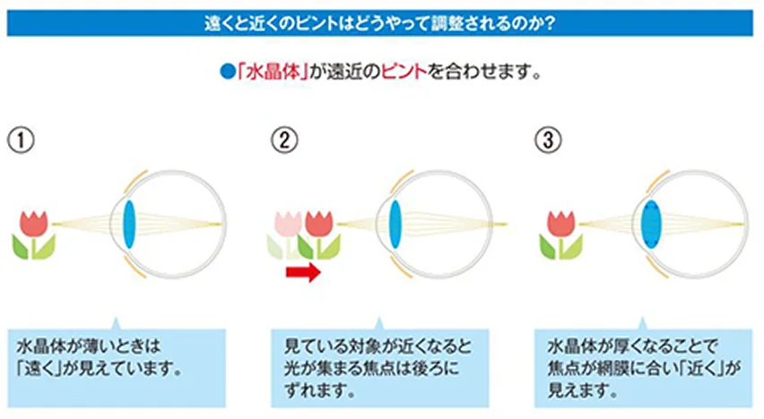 １．水晶の硬化