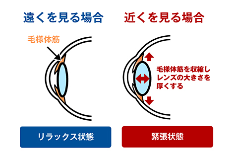 遠くを見る場合と近くを見る場合の違い