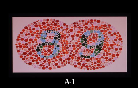 色覚多様性（かつての色盲・色弱）チェックA1