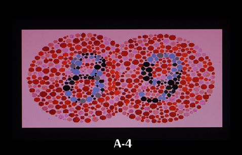 色覚多様性（かつての色盲・色弱）チェックA4