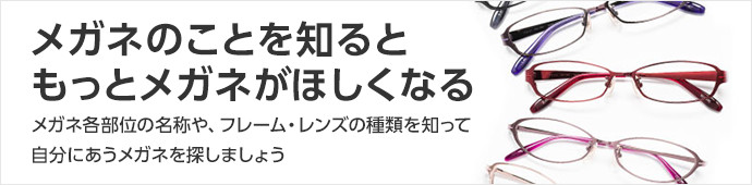 メガネのことを知るともっとメガネがほしくなる