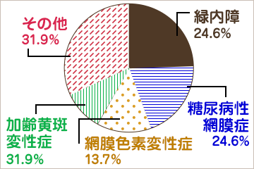 日本人の中途失明の原因疾患を表す円グラフです。緑内障は24.6％、糖尿病性網膜症は20.0％、網膜色素変性症は13.7％、加齢黄斑変性症は9.8％、その他は31.9％です。