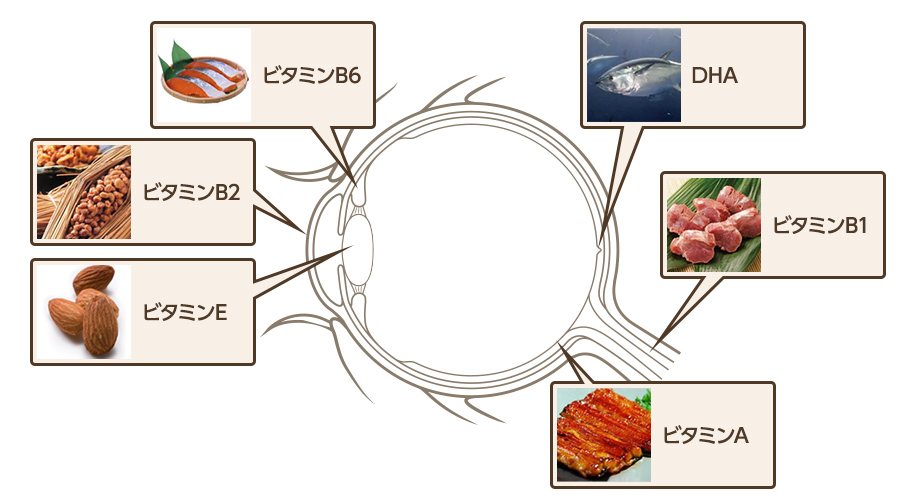 眼にいい食べ物