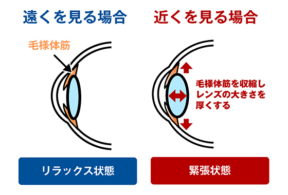 疲れ 目 時 が た