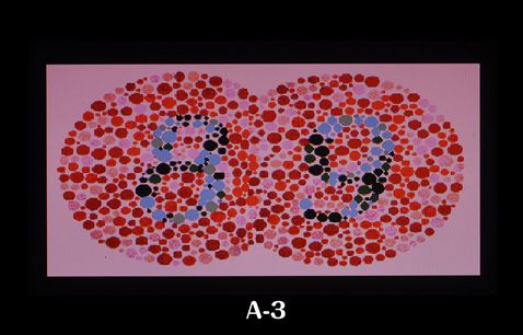 色覚多様性 簡易チェック ｜ メガネスーパー 眼鏡(めがね、メガネ