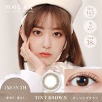 【ティントブラウン】 MOLAK 1MONTH モラク ワンマンス 2枚[PIA]