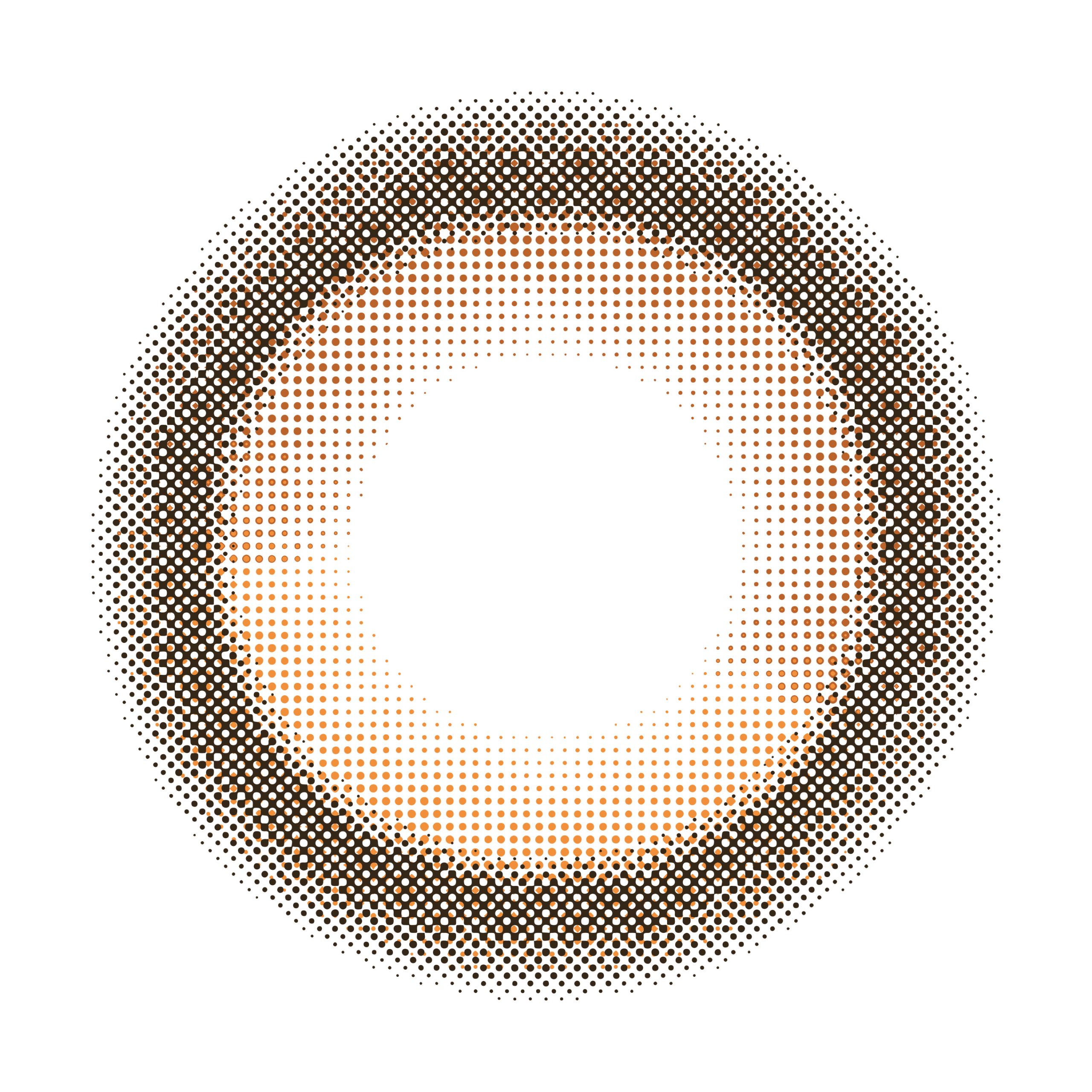 【サニーベア】perse 1day パース ワンデー 1箱10枚入り［PIA］ 画像3