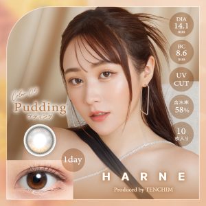【プディング】HARNE1day ハルネワンデー 1箱10枚入り[PIA]
