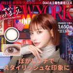 【New York】Sekai no Flurry せかいのふるーりー 1箱10枚入り[Wscale]