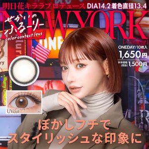 【New York】Sekai no Flurry せかいのふるーりー 1箱10枚入り[Wscale]