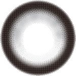 【ときとめグレー】Chapun 1day シャプン ワンデー 1箱10枚入り［PIA］ 画像3