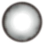 【ゼロチャコール】LILMOON0.03ZERO 1day リルムーン0.03ゼロ ワンデー 1箱10枚入り［PIA］ 画像3