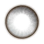 【コアラグレー】perse 1day パース ワンデー 1箱10枚入り[PIA] 画像3