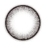 【キャットパール】TOPARDS 1day トパーズ ワンデー 1箱10枚入り［PIA］ 画像3