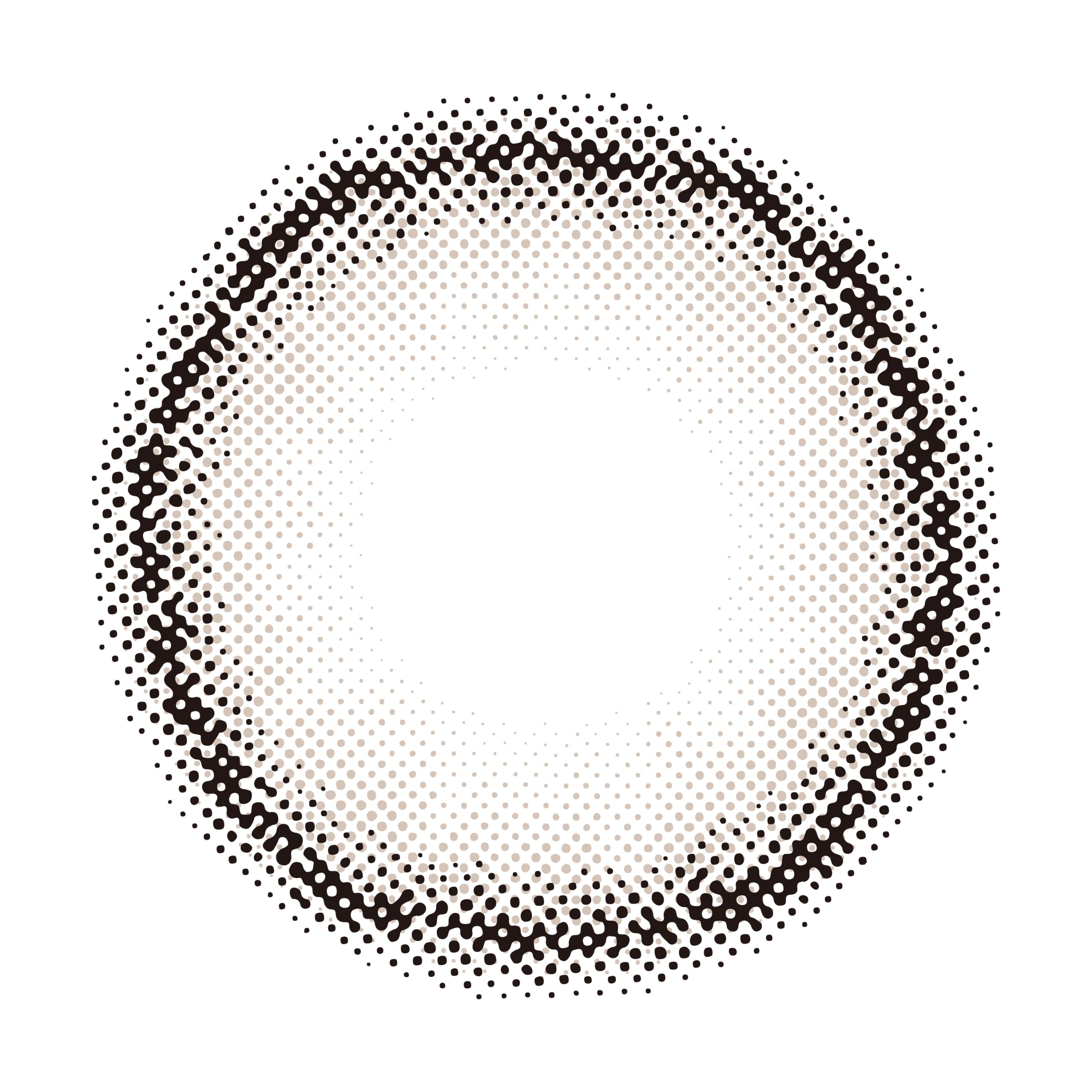 【Salty Donut（ソルティ ドーナツ）】mimuco 1day ミムコ ワンデー 1箱10枚入り[PIA] 画像3