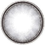 【ドリームグレー】MOLAK 1day モラク ワンデー 1箱10枚入り[PIA] 画像3