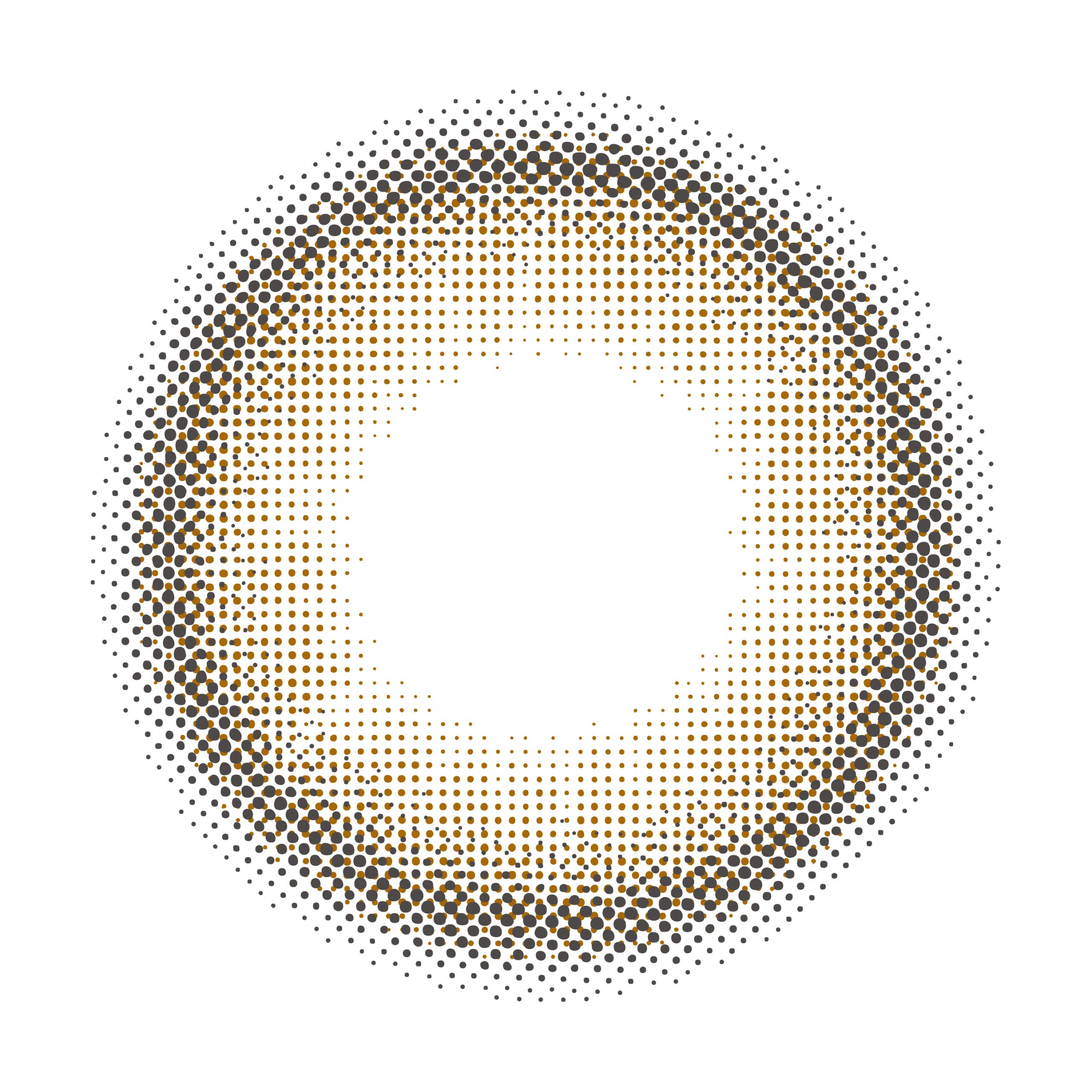 【テディブラウン】perse 1DAY パース ワンデー 10枚 [PIA] 画像3