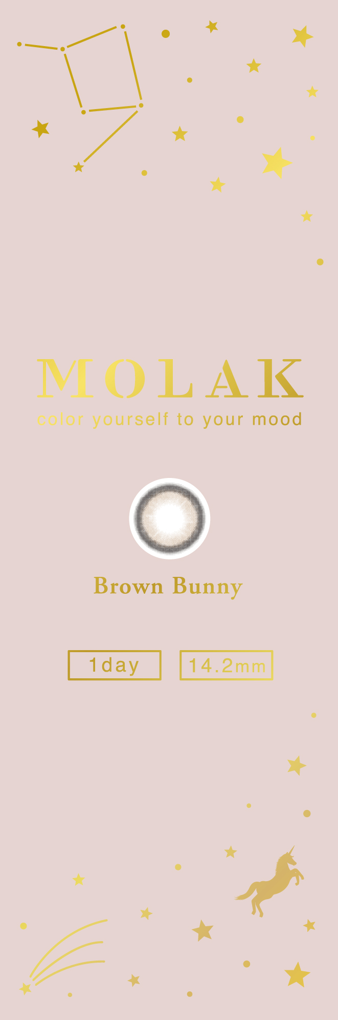 【ブラウンバニー】MOLAK 1day モラク ワンデー 1箱10枚入り[PIA] 画像4