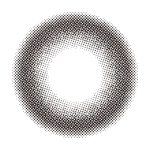 【レディブラック】melady 1DAY ミレディ ワンデー 1箱10枚入り[PIA] 画像3