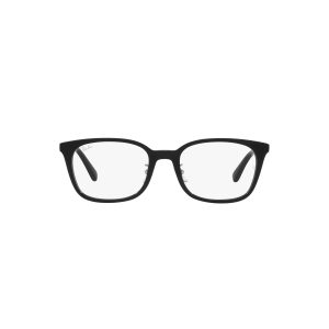 RAYBAN RX5407D 2000 52