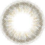 【メルティーミスト】 MOLAK 1day モラク ワンデー 10枚[PIA] 画像3