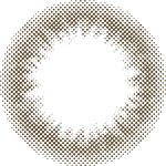 【ティントブラウン】MOLAK 1day モラク ワンデー 10枚[PIA] 画像3
