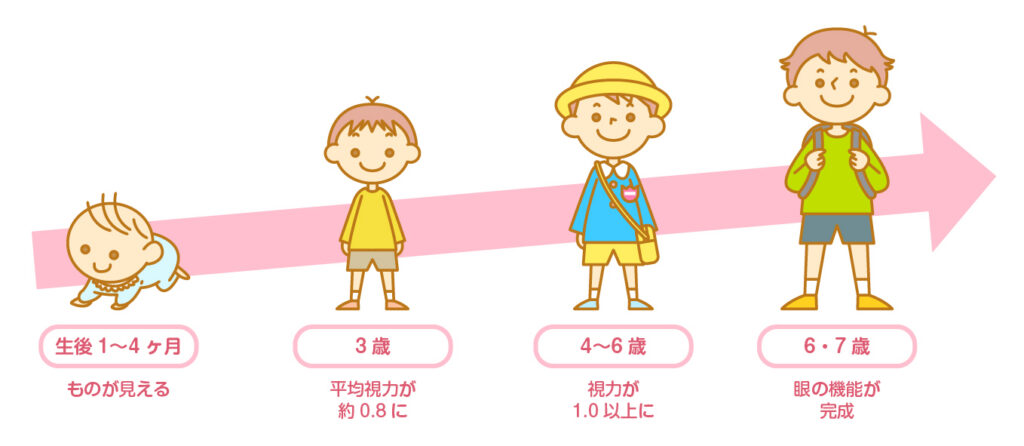 特集1：大切なのは、子どもの頃からのアイケア 子どもの発育(成長)と目の関係