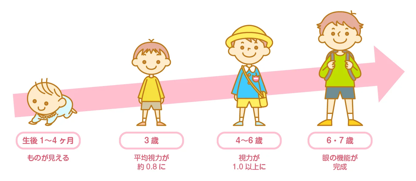 目の成長