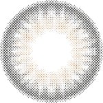 【ミラーグレー】MOLAK 1day モラク ワンデー 10枚[PIA] 画像3
