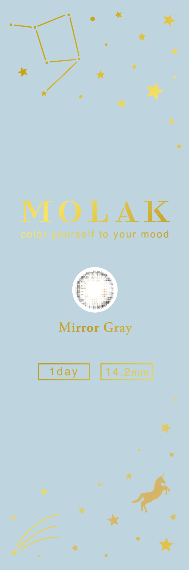 【ミラーグレー】MOLAK 1day モラク ワンデー 10枚[PIA] 画像4