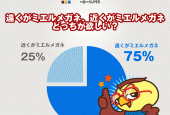 遠くがミエルメガネ、近くがミエルメガネどっちが欲しい？