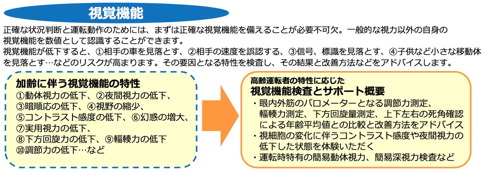 視覚機能