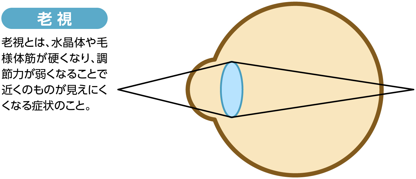 老眼による視機能低下のしくみ