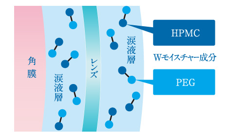 Wモイスチャー成分