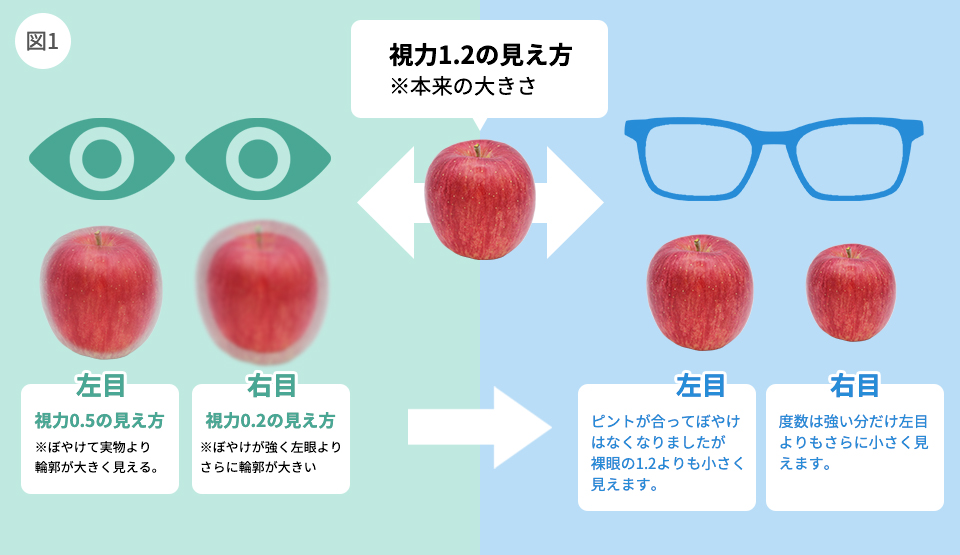 視力の度合いと眼鏡の矯正度数による大きさの違い