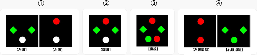 両眼単一視のための外眼筋のはたらき