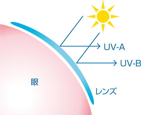 含水率58%で、柔らかい