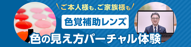 色の見え方バーチャル体験